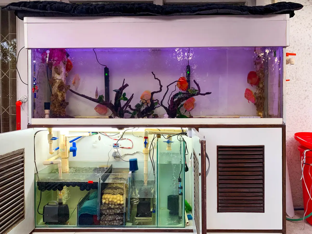Image of the aquarium